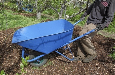 Volunteer Workday at the UCSC Farm