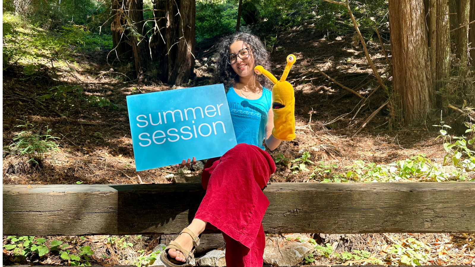 Summer Session Enrollment Open