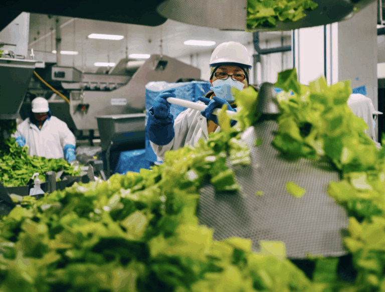 Working Food Will Work for Food – Events
