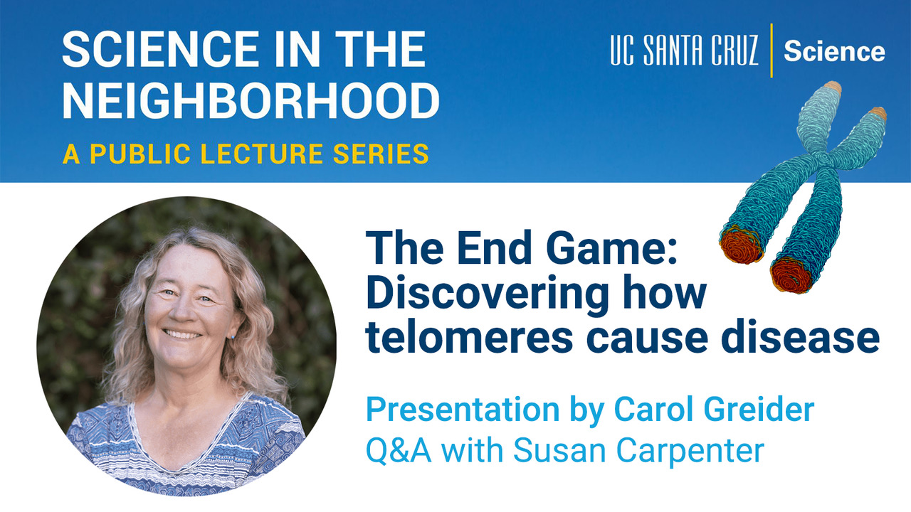 Science in the Neighborhood, The End Game: Discovering how telomeres cause disease