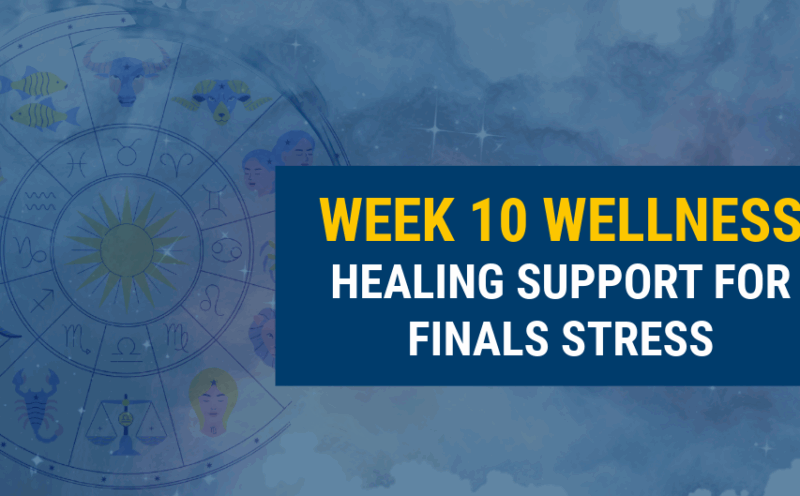 Week 10 Wellness: Healing Support for Finals Stress