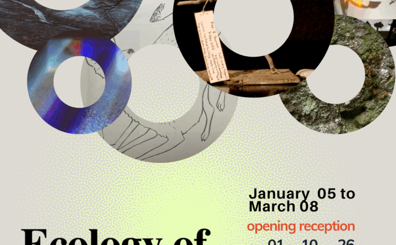 Opening Reception for Ecology of Presence
