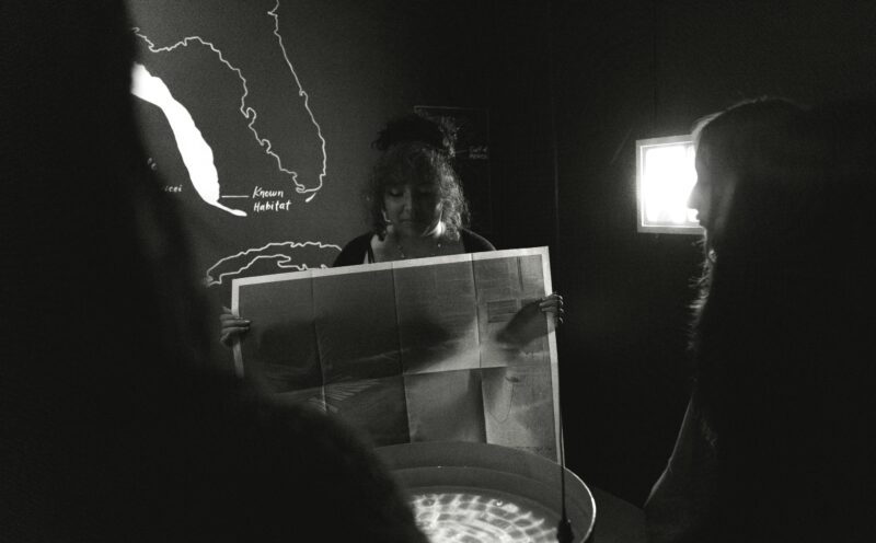 Electroacoustic Performance and Artist Talk with the Whale Liberation Front