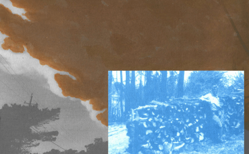 Unexpected Returns: The Historic Entanglements of Fire, Settlement, and Stewardship in the Santa Cruz Mountains