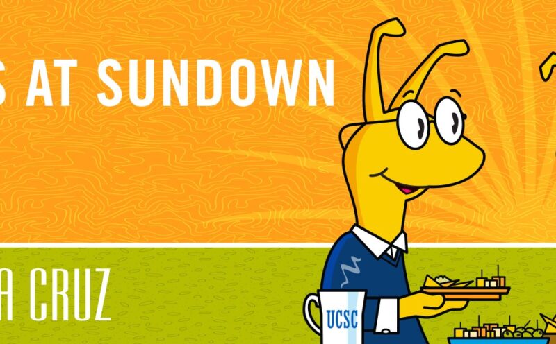 Slugs at Sundown: Strengthening Your Professional Brand