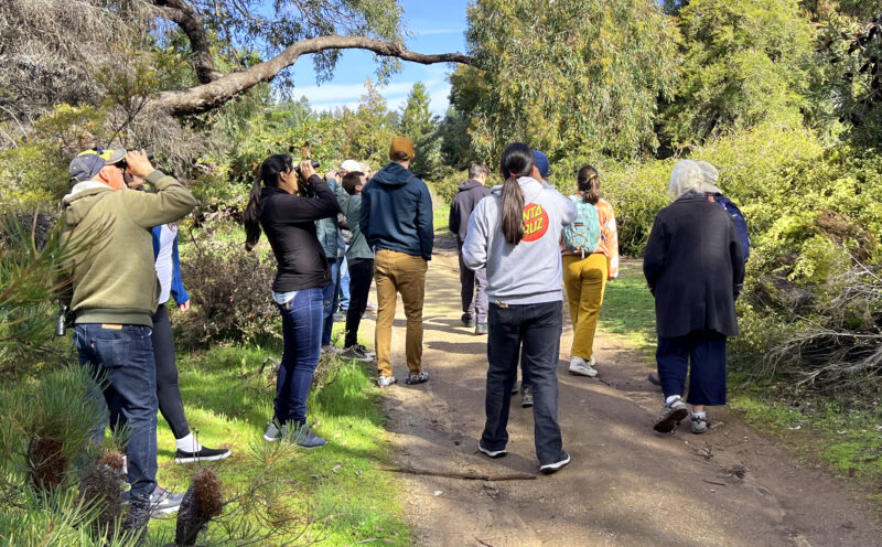 Family-friendly and Bilingual Bird Walk at the UCSC Arboretum