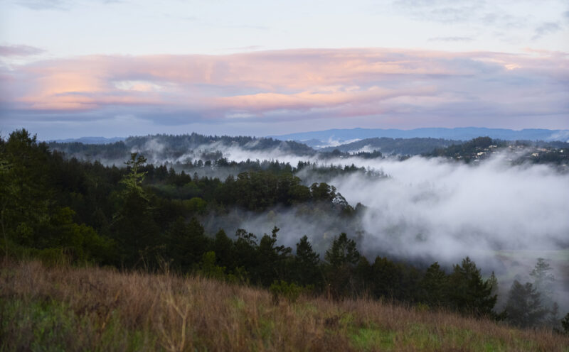 Planetary Health and Innovation Panel