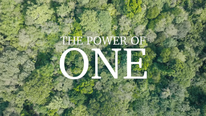 Banner image with green trees and the words "Power of One" in white text.