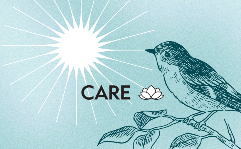 Survivor Circles: Healing After Trauma