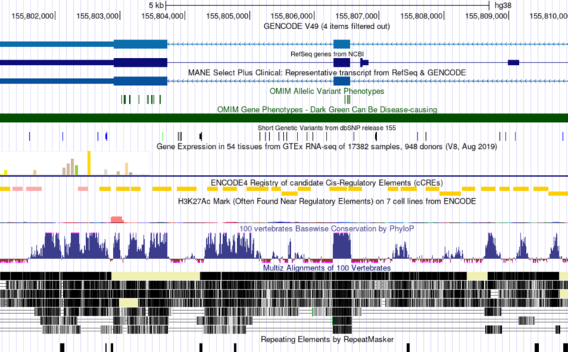 Learn to use the UCSC Genome Browser