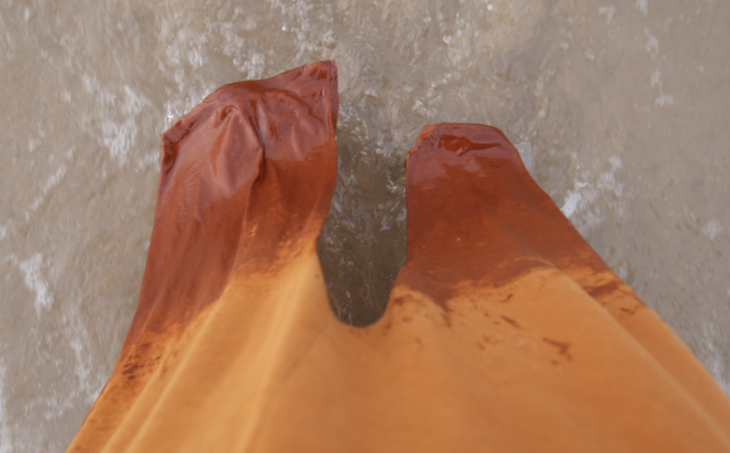 The One with the Manes