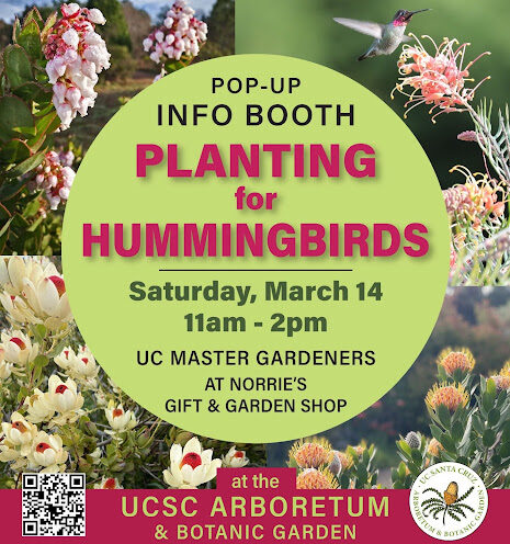 Planting for Hummingbirds