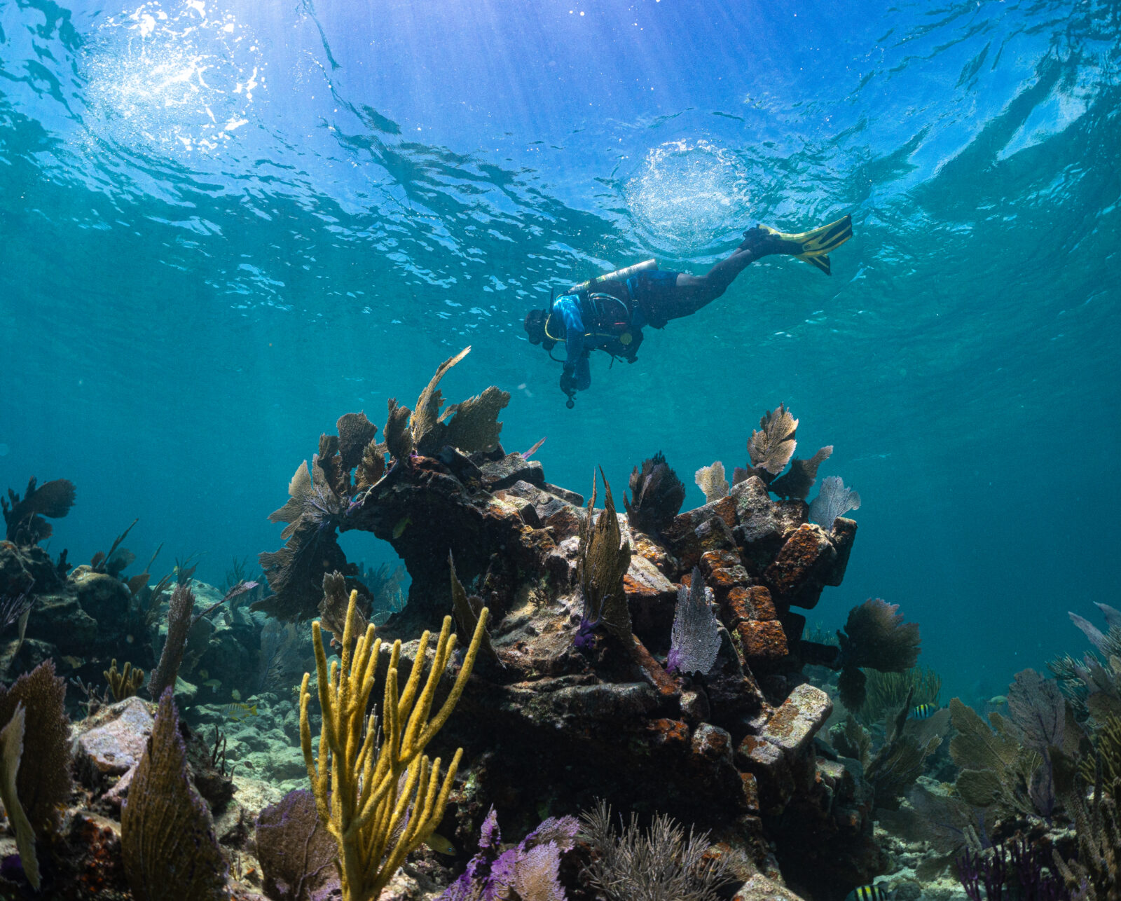 Underwater image of maritime archaeology site in Benin.