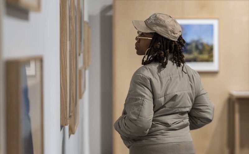 Spring Exhibitions at the Institute of the Arts and Sciences