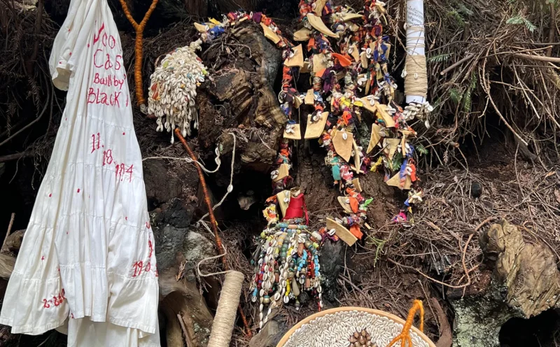 Celebration of Spring Exhibitions at the IAS