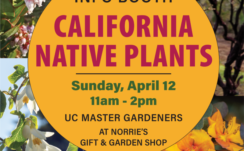 Native Plants – Events
