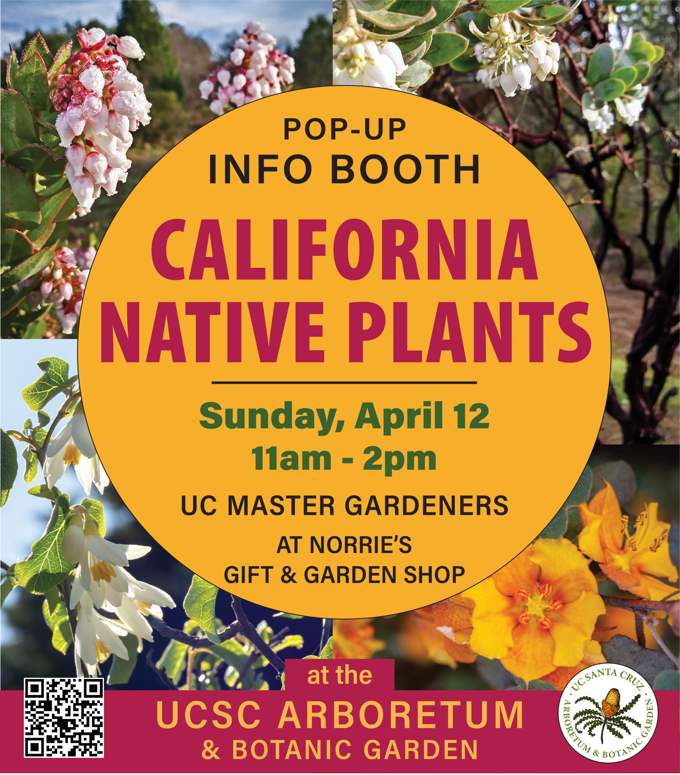Flyer for California Native Plants Pop Up Information Booth at the Arboretum