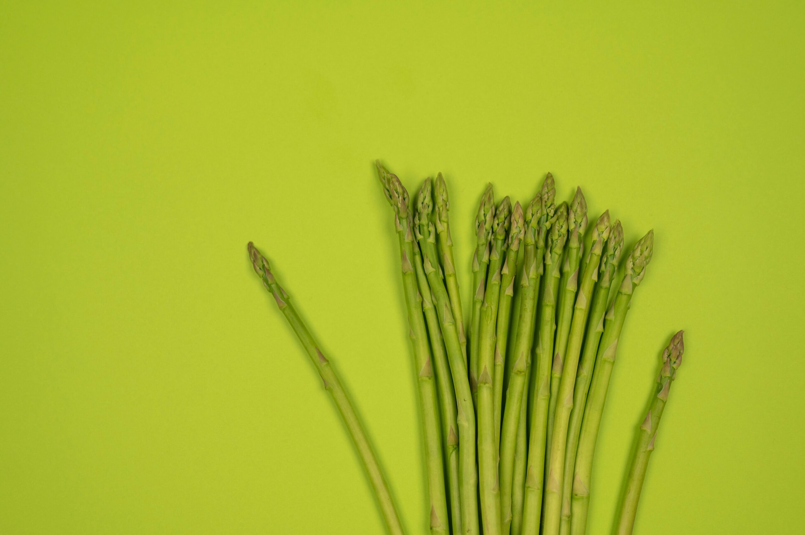 Asparagus on green background