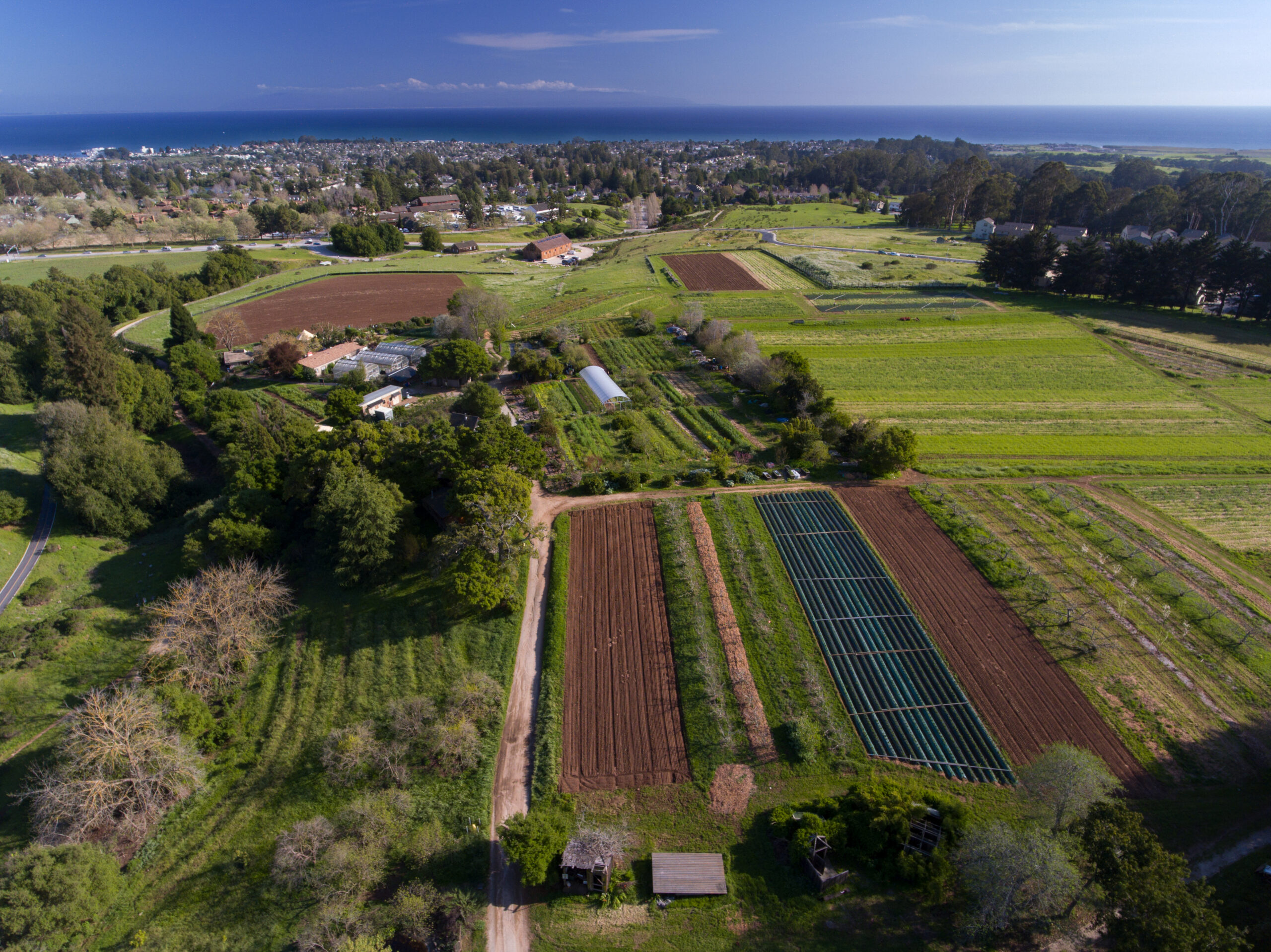 ucsc farm