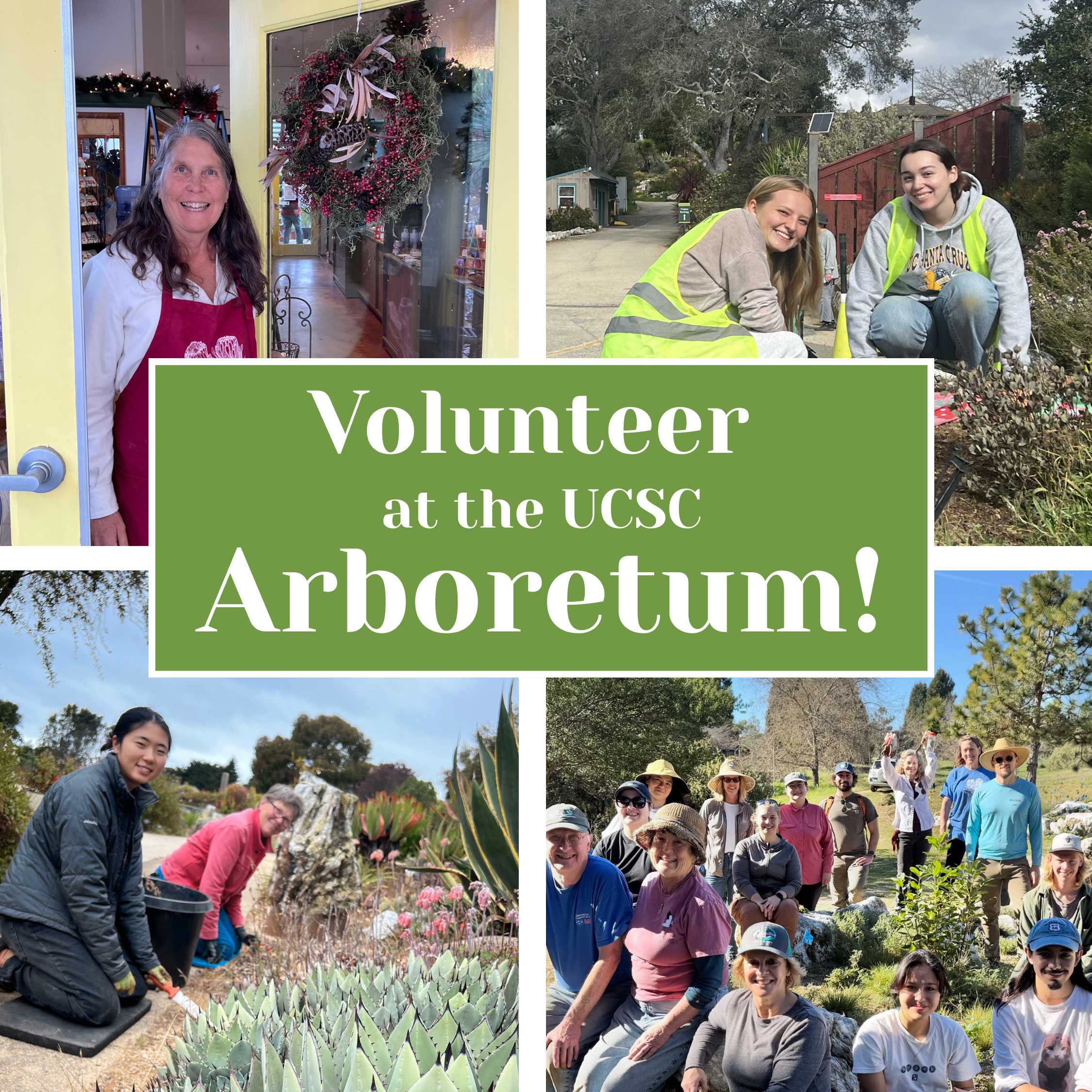 JN Volunteer with the UCSC Arboretum! (2)