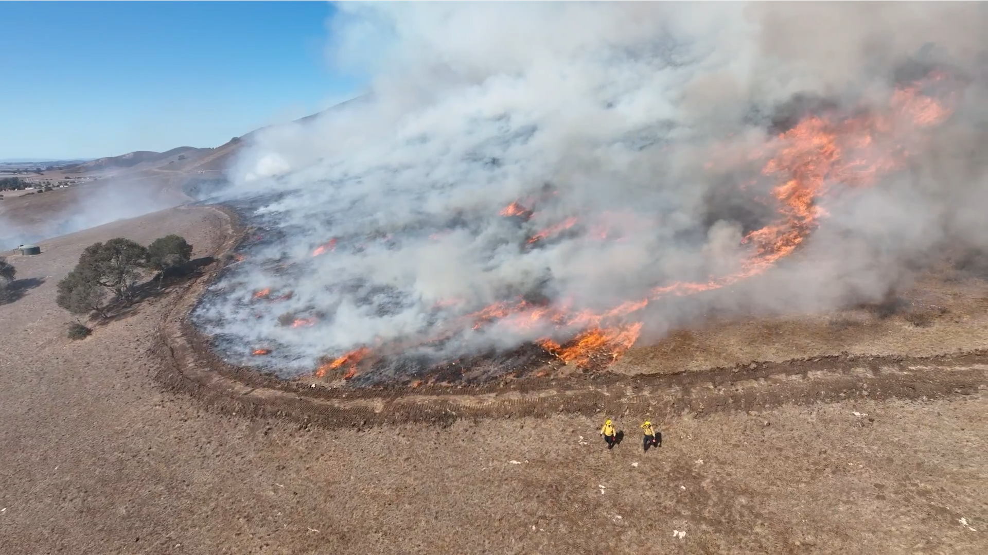controlled burning